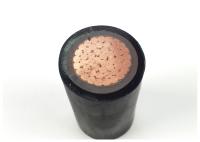 50 Sq Mm XLPE Insulated Cable Armoured / Unarmoured 600V 1000V
