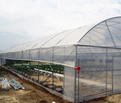 Thickness 0.12mm-0.8mm Plastic Film Greenhouse For Strawberries