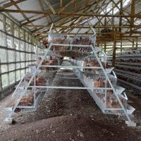 Le type hygiénique poules d'A cultivent l'élimination automatique d'engrais de cage de poulet de couche