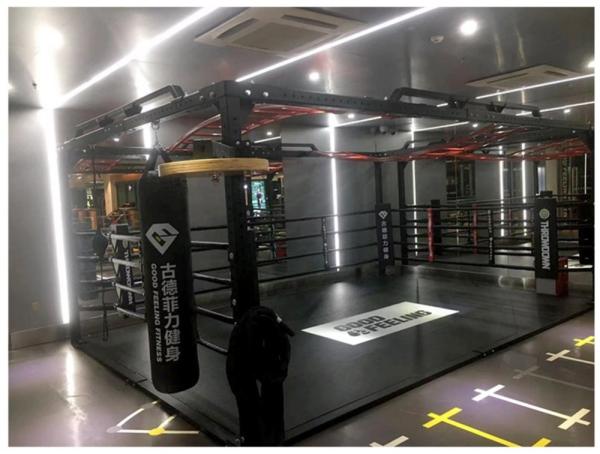 Personalized Movable Boxing Fighting Ring