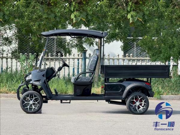 Electric 2 Seat Golf Cart with Cargo Box