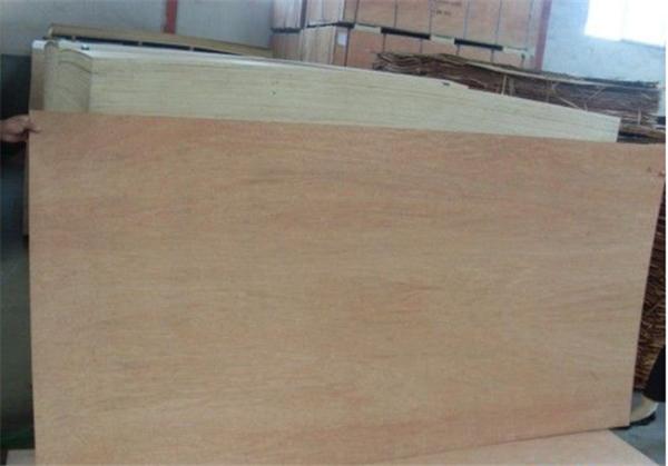 Furniture Making Wear Resistant 5mm Bintangor Plywood