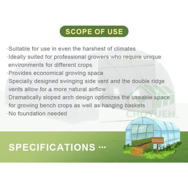 Hot Dip Glavanized Steel Polytunnel Greenhouse 10X30m Single Span