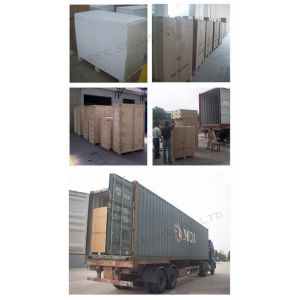 SUPER SECURITY LTD