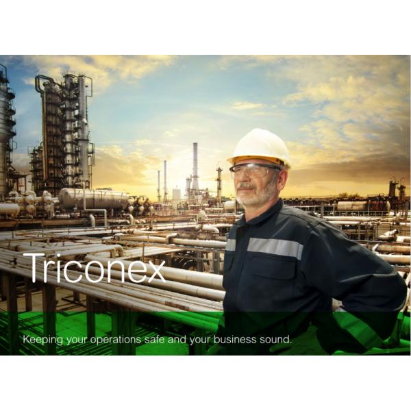 Invensys Triconex Processor Module 3006 Enhanced 2MB SRAM New Module