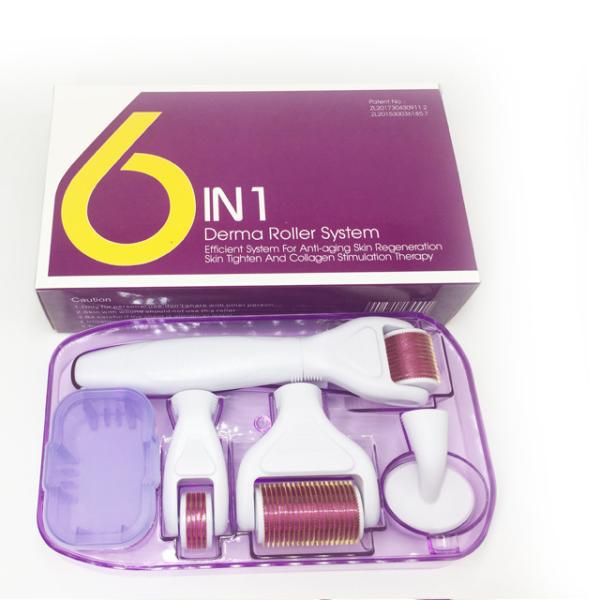 Derma Rolling System and Needle Material Stainless Steel / Titanium 6 In 1 Derma