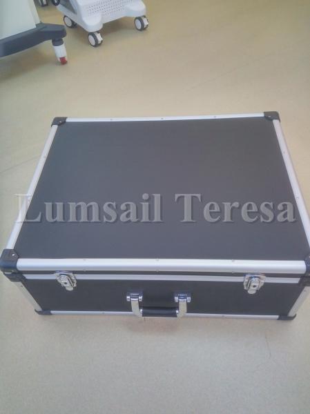 Veterinary Portable General Surgical CO2 Fractional Laser Machine For Cautery Vaporization Treatment