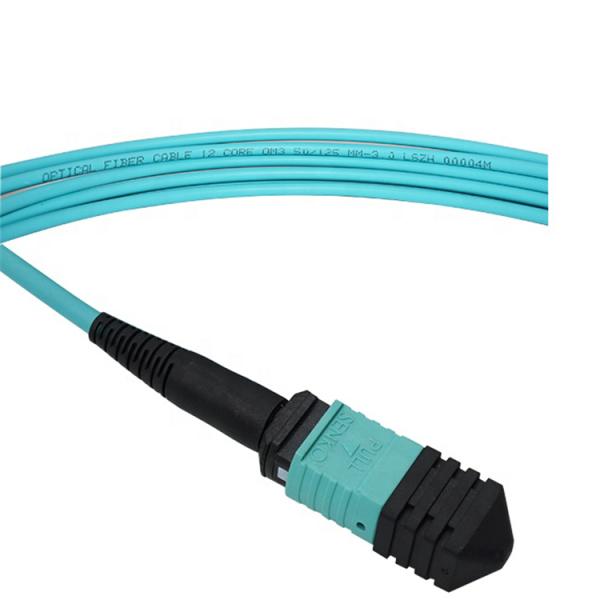 Professional Manufacturer 1 meter 12 cores  Fiber Optic Patchcord OM3-300 female MPO fiber optic patchcord