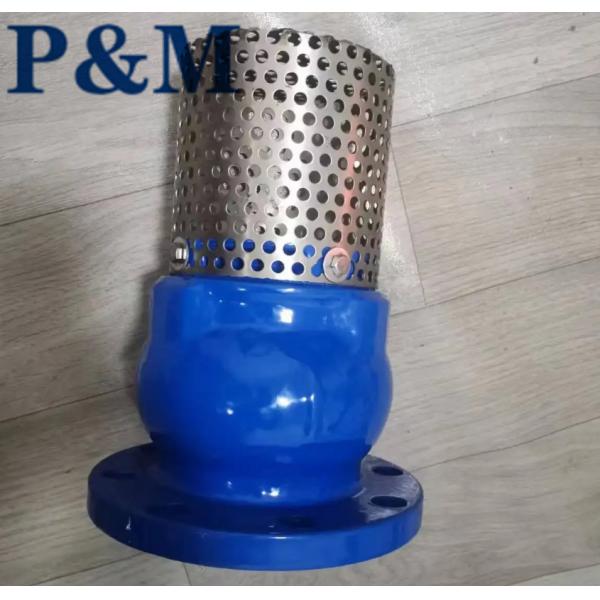Ductile iron ANSI flanged foot valve