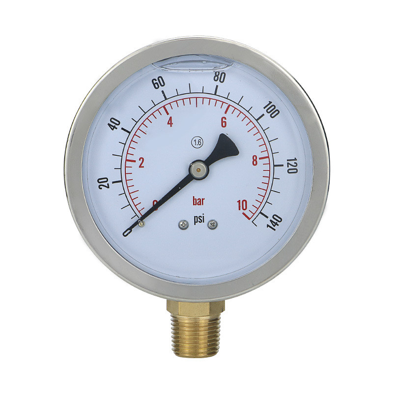 Customized Support 100mm NPT1/2 Stainless Steel Oil Pressure Gauge with 10mm Range