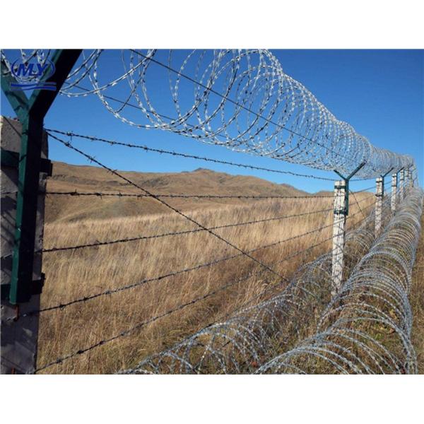 Голубая квартира провода бритвы провода бритвы тюрьмы создает программу-оболочку хорошее влияние сопротивления