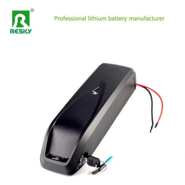 Hailong Li-ion Lithium Ion Ebike Battery 36V13ah