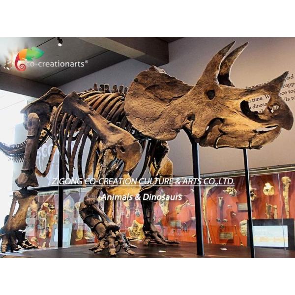 Скелет трицератопса динозавра украшения дороги