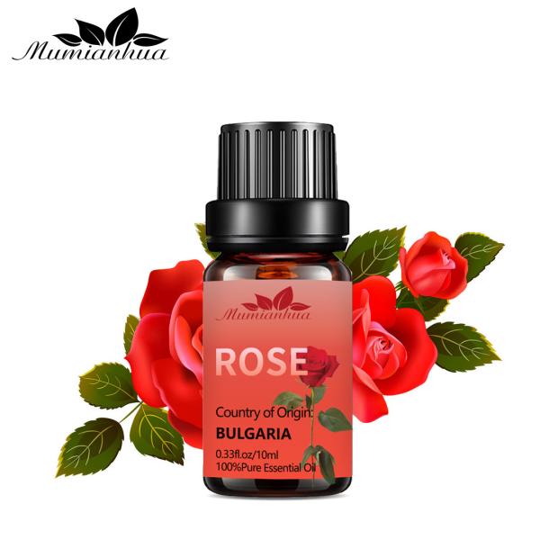 OEM natural orgânico MSDS do aroma dos TERMAS de 10ml 100% Rose Essential Oil Body Massage