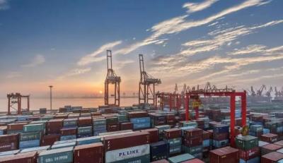 Ningbo Port Chinese Customs Clearance Service For LCL Export Import Agent