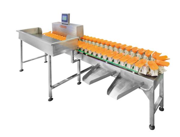 Automatic Conveyor Fruit and Vegetable Weight Sorting Machine