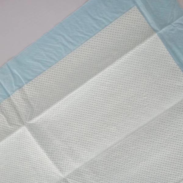 Waterproof Blue Charcoal Pee Pads for Dogs Wee Wee Absorbent Odor Neutralizer Dog Pads