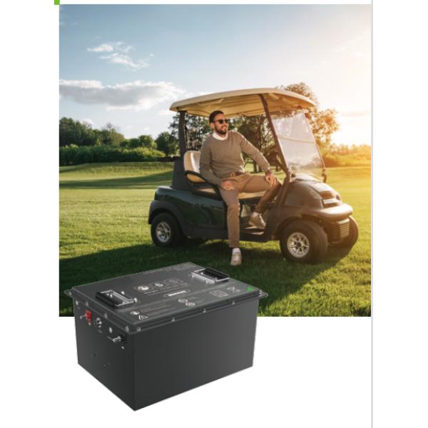 блок батарей тележки гольфа иона лития 48в с Бмс Лифепо4 48в 100ах 150ах