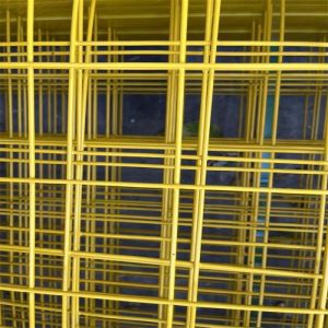 Customizable Size 1X2 Powder Coated PVC Welded Wire Mesh Panel for Bird Cages