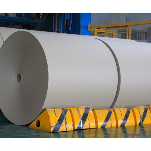 China Paper Company Limited