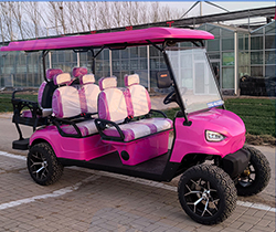 Convenient Golfing Experience Electric Golf Carts Trolley Design with Li-ion Battery