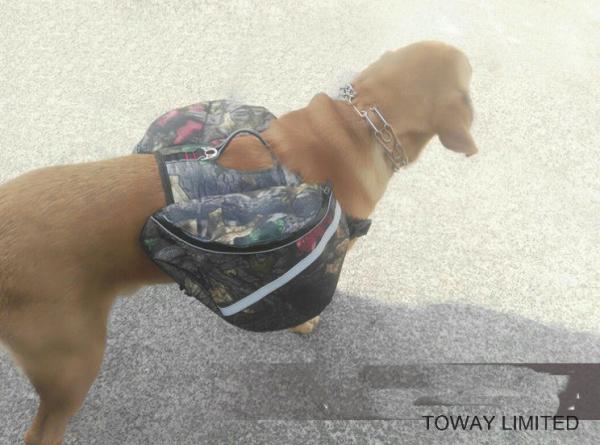 Sacos de mochila para cães