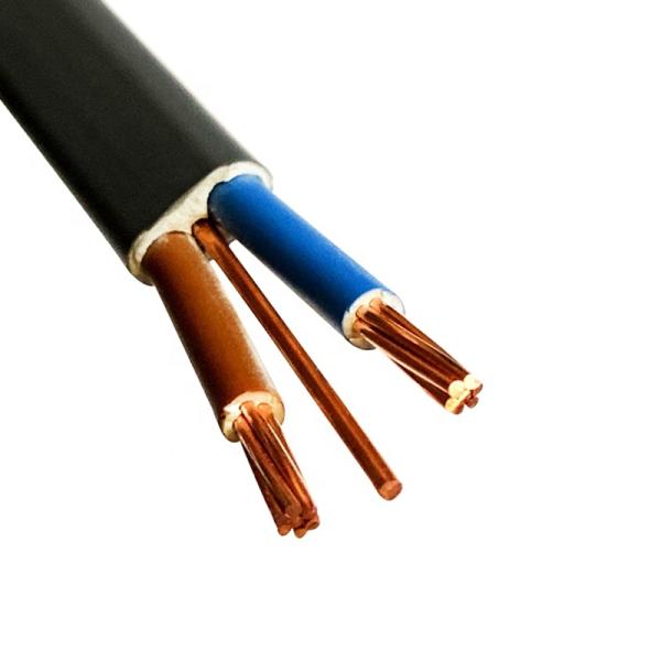 450V 750V Electric Wires With Al Copper Conductor