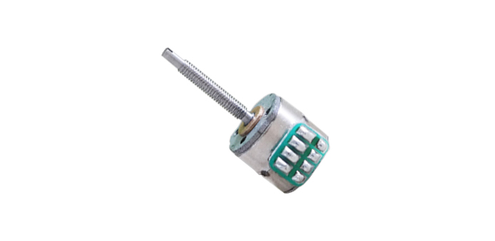 8mm мотор постоянного магнита 2 участков Stepper с мотором винта микро- Stepper для аппаратуры точности VSM08284