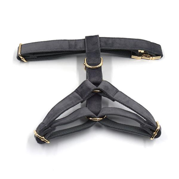 Dog Velvet Collar Leash Harness Set Luxury Collar Set Pet Leash Poop Bag OEM ODM Accepted