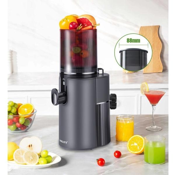 Big Mouth Cold Press Commercial Fruit Juicer Multifunctional Electric Juicer 350W