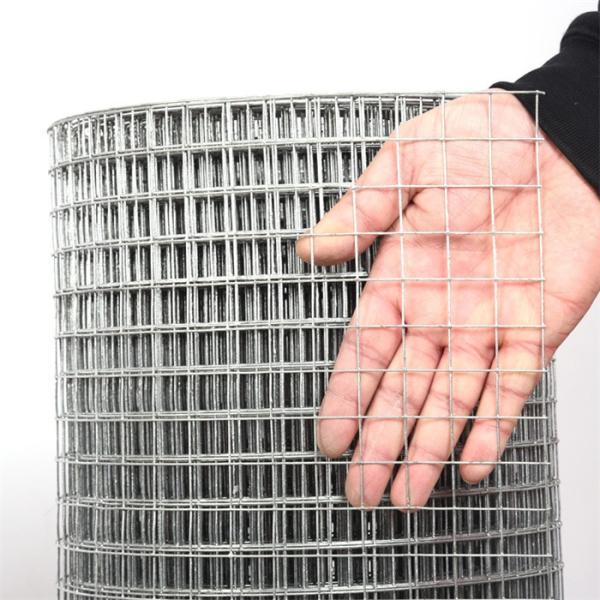 Hot Dipped Galvanized Welded Wire Mesh Panels with High Tension Strength and 1/2 Square Hole