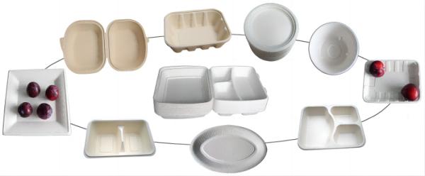 Thermoform Take Away Food Box Plate Making Machine 7000Pcs / H