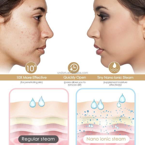 2023 Ionic Face Steamer Hot Cold Humidifier Portable Facial Steamer Moisturizer Salon