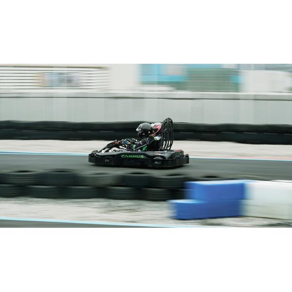 Обслуживание Karting 3500RPM профессионального 4 колеса электрическое крытое удаленное
