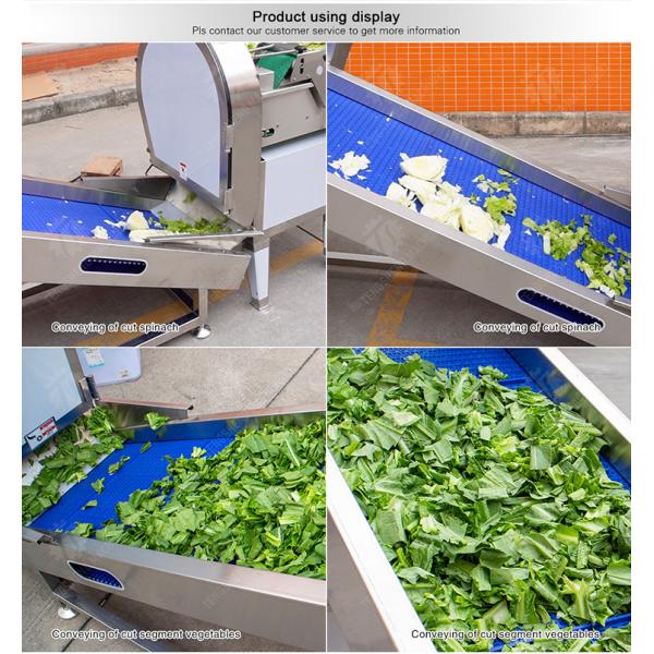 Fruit Orange Vegetable Onions horseshoe Ginger Potato Carrot radish Lettuce Baby Cabbage Chinese Cabbage Cabbage Hoisting machine Washing Dryer processing production line