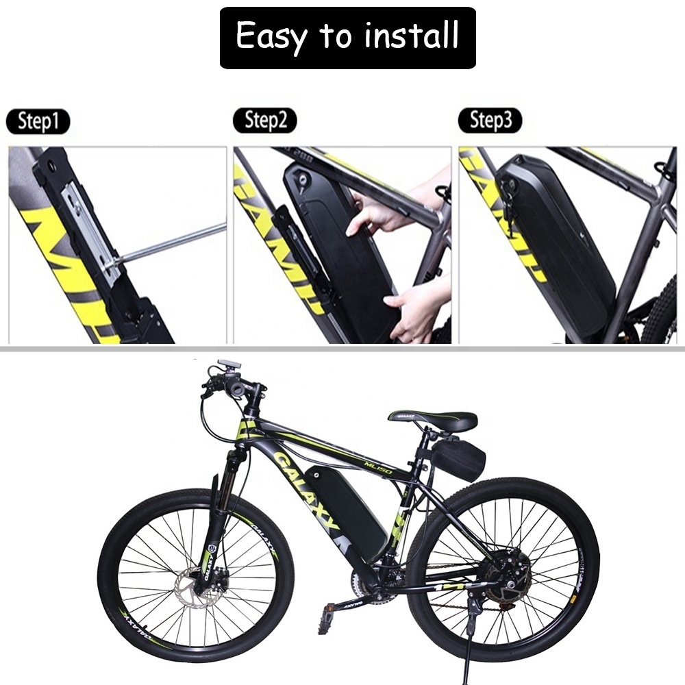 Custom 48V 20Ah Hailong Ebike Battery for 1000W Motor with Customizable Options