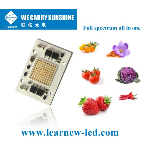 Lumière de croissance de la plante 50W ± 2W Longueur d'onde multiple 40*60mm AC 220V Lampes de croissance LED COB