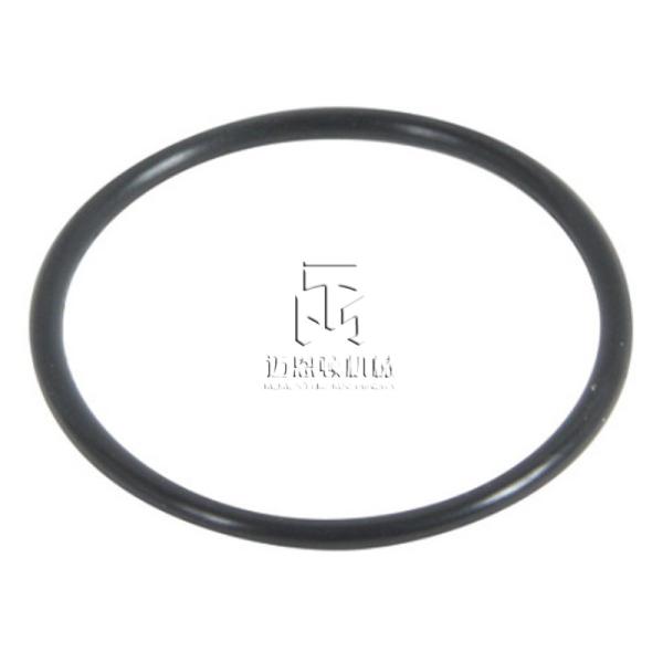 O-ring 01174605 0117 4605 1174605 for deutz FL914