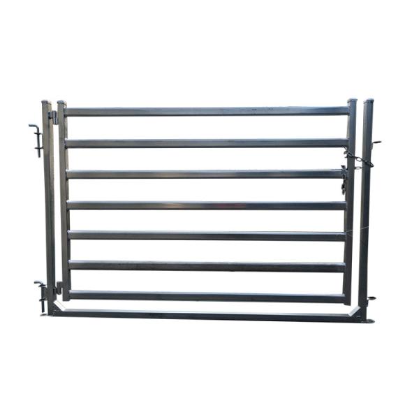 12 Ft Powder Coated Animal Fencing Hot Diped Galvanized Steel Pipe