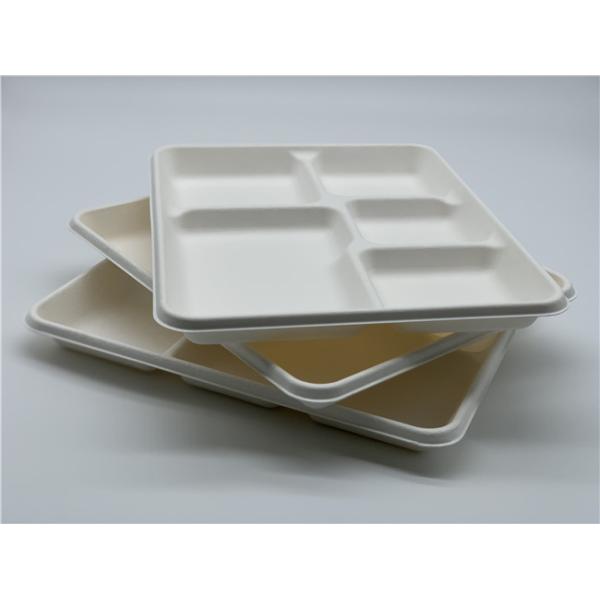 Dinnerware 25g 5 Compartment Biodegradable Food Trays