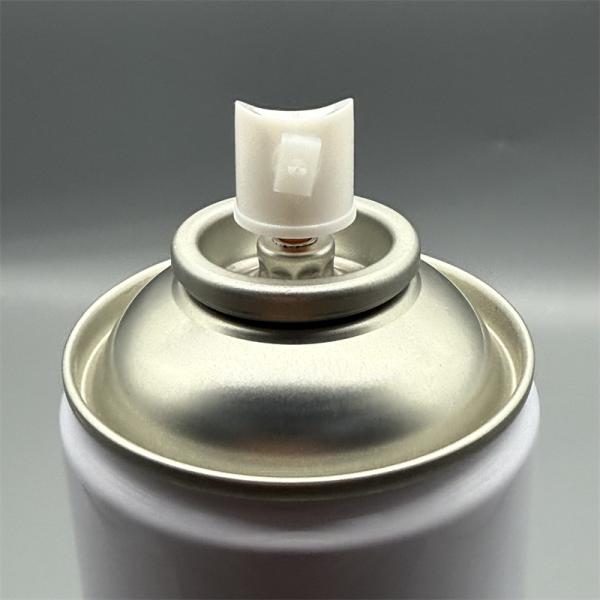 Durable Spray - painted Male Valve for Plumbing Systems with Easy Installation