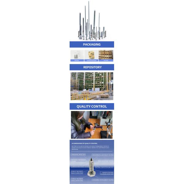 Cold Forging Customized Stainless Steel Hex Wood Screw DIN571 Standard