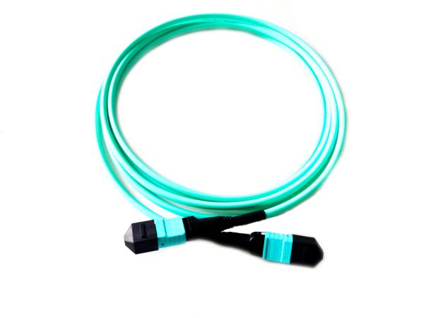 Multimode 8 core MPO-MPO 3.0mm 1m Fiber Cable For Local Area Networks Durable