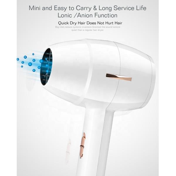 Фен для волос двойного напряжения тока аксиального потока электрический для пользы перемещения домашней