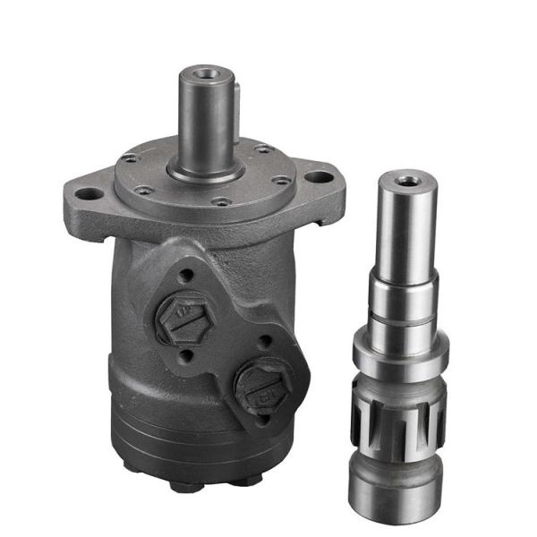 Easy Install Orbit Hydraulic Motor , BMR Hydraulic Motor With Spool Valve