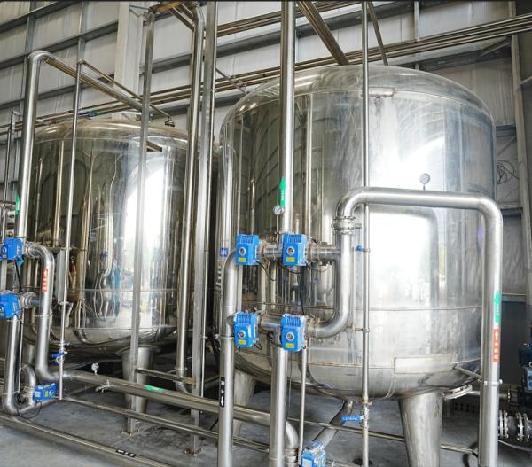 RO Water Purification System High Efficiency Pure Water Processing Solution