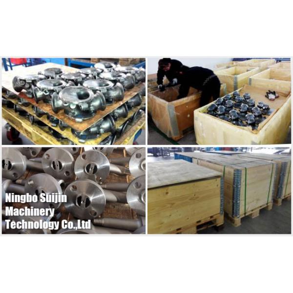 Части клапана BEC SS316L бросая