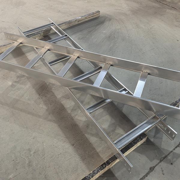 Fire Resistance Galvanized Ladder Cable Tray Wall Mounted High Flexibility Steel Rungs