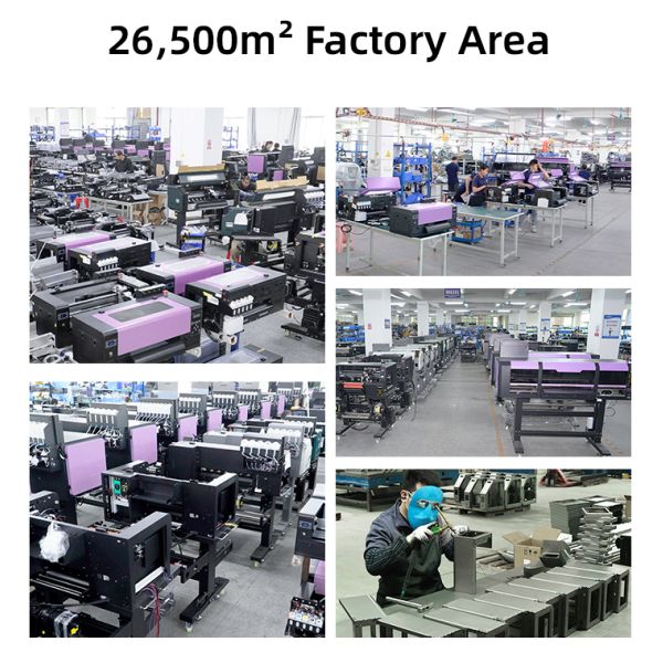 Ingani 12inch 30Cm Dual I1600 Print Head Dtf Powder Shaker Dtf A3 t Shirt Printer and Powder Shaker