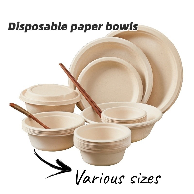 Different Size Eco-Friendly Sugarcane Pulp Bowl Biodegradable Disposable Tableware
